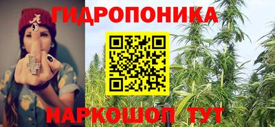 кокс Гай
